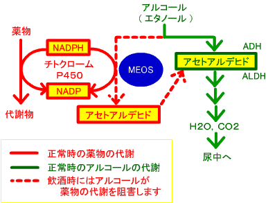 ジスロマック アルコール