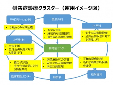 側弯症診療センターの運用イメージ図