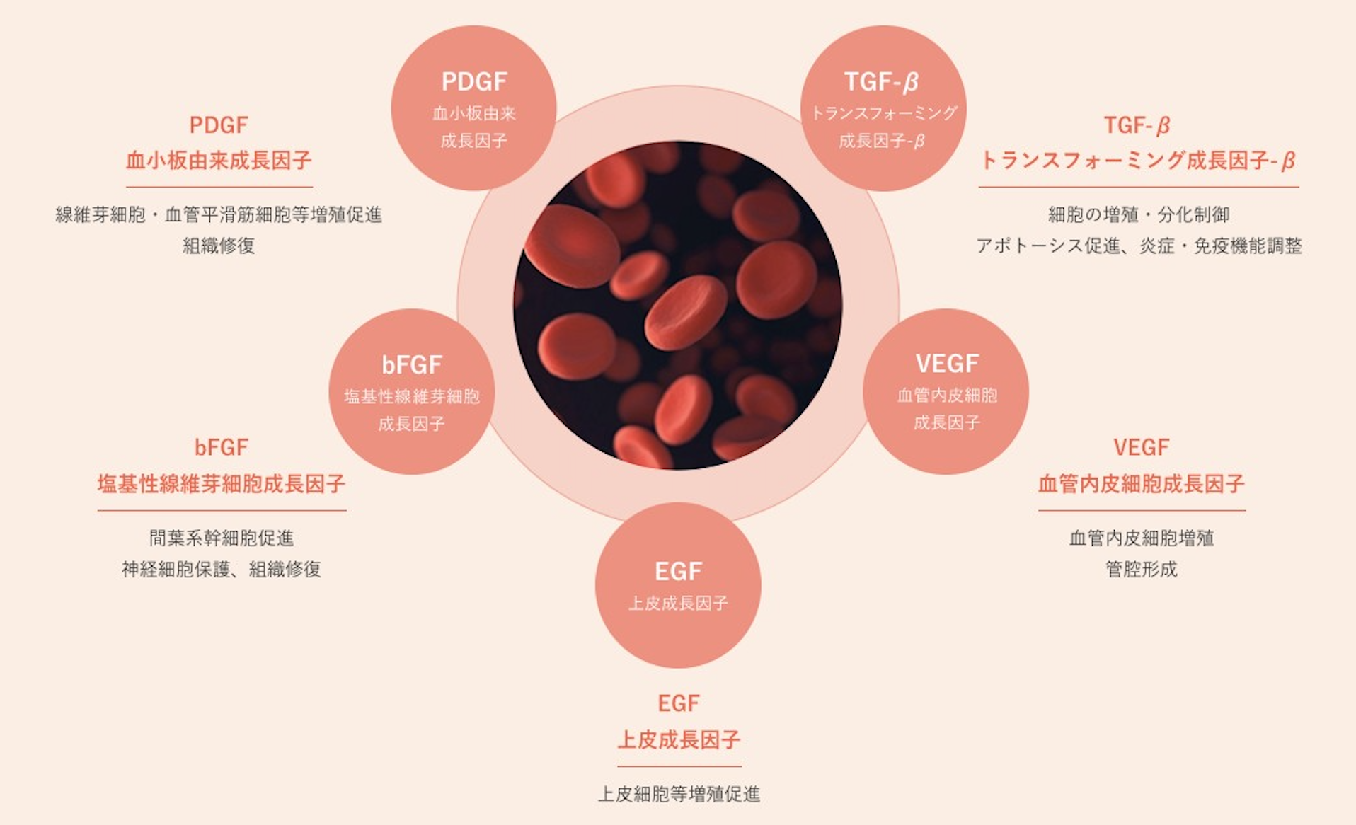 PRP療法＆メディカルフィットネスの取り組み